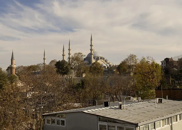 The Old Bazaar アパートホテル イスタンブール