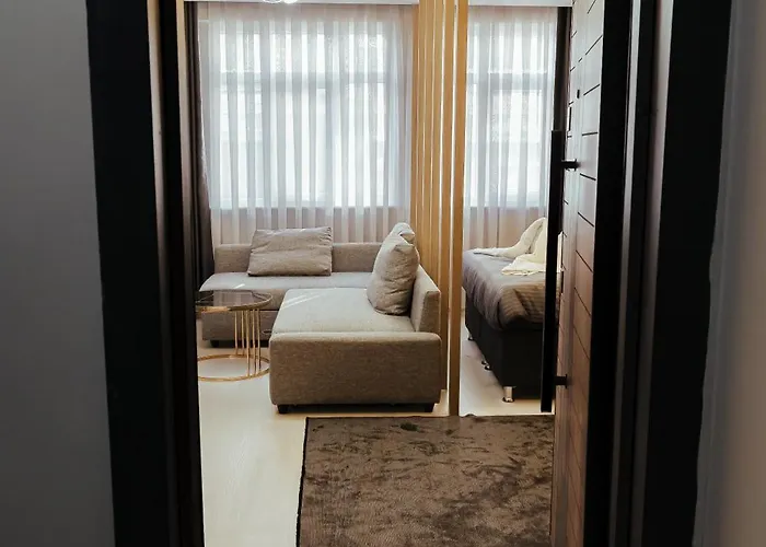 The Old Bazaar アパートホテル イスタンブール